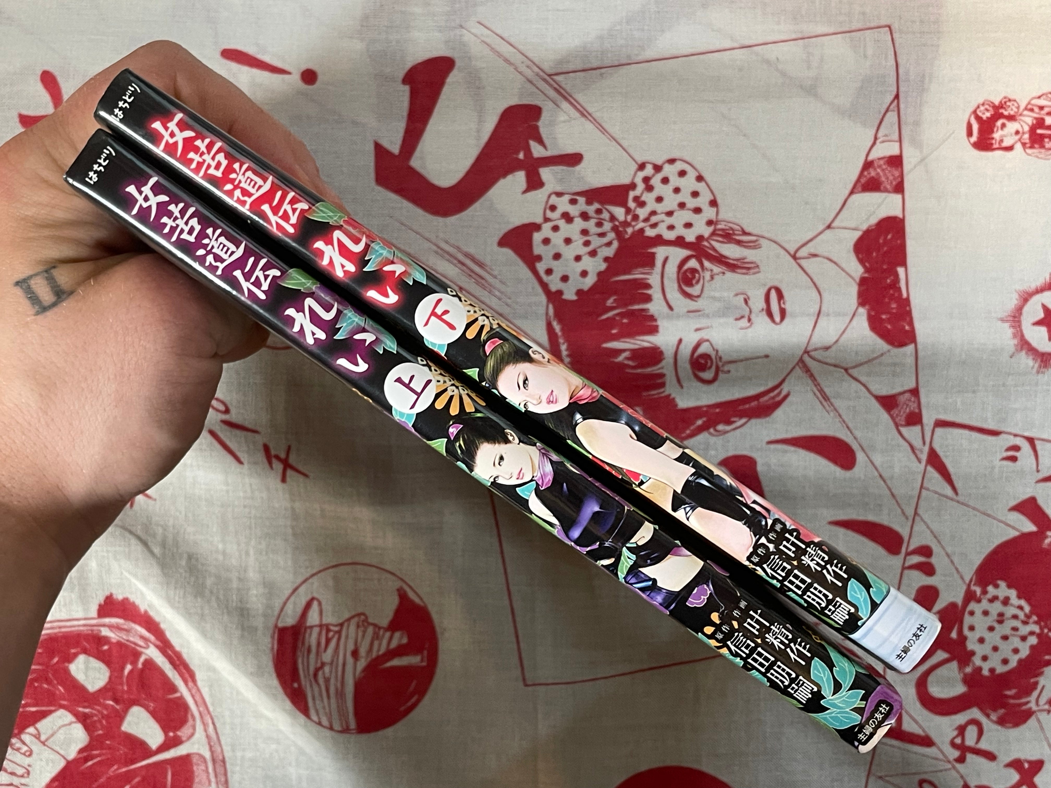 Woman's Suffering Legend Rei 2 Volume Full Set by Seisaku Kanoh (2018)