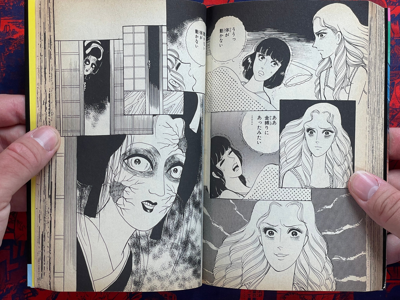 Bone Collector Oshichi by Mori Yukiko (1988)