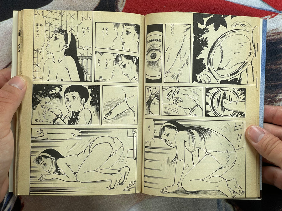 House of Beautiful Girl's Dreams by Muraso Shunichi (1982)