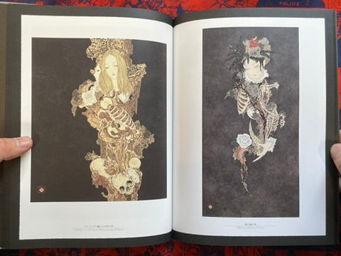 SIGNED Rib of a Hermaphrodite by Yamamoto Takato - Hardcover + Slipcover (2023)