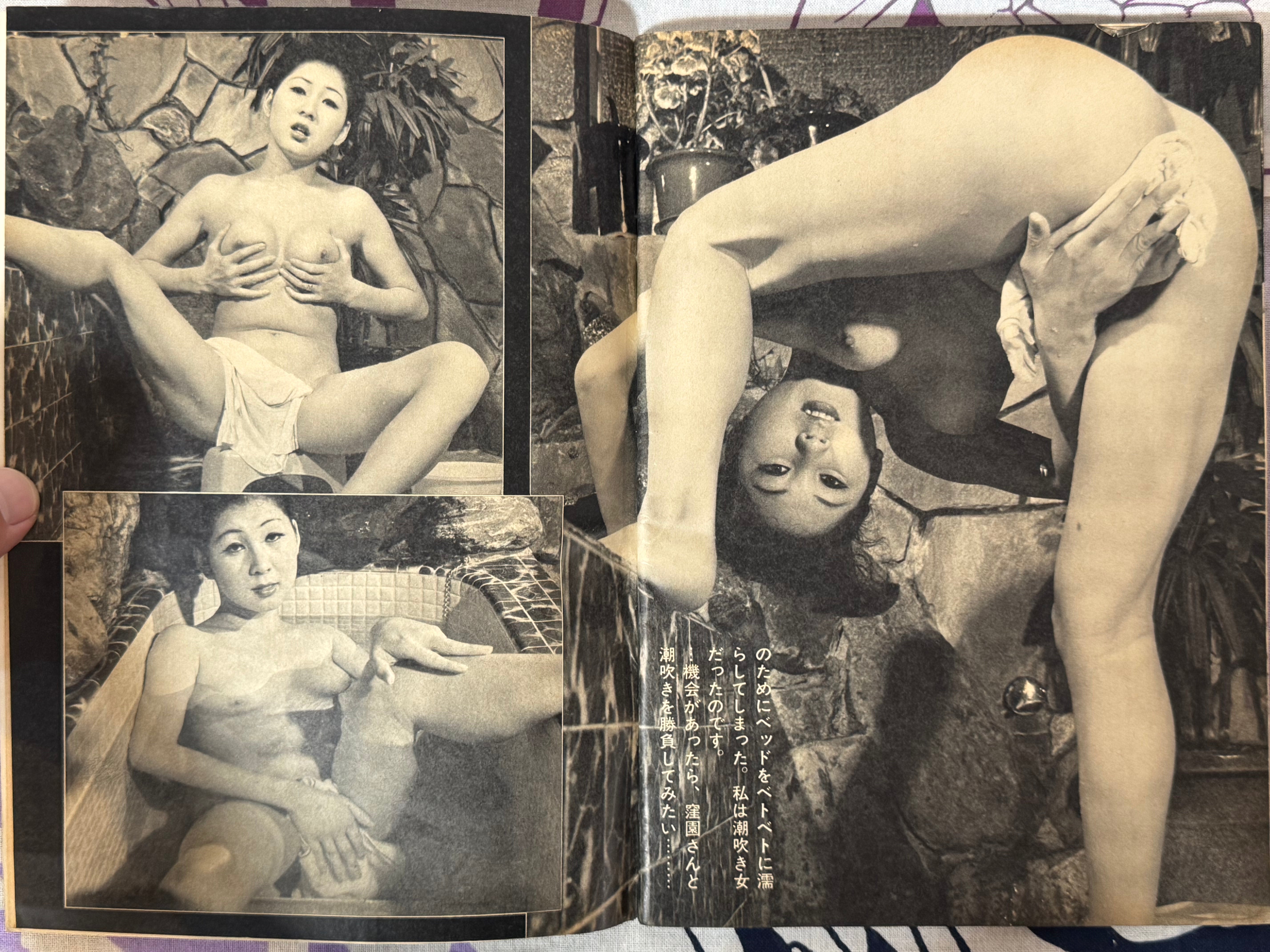 Pink Plaza Magazine (4/1976)