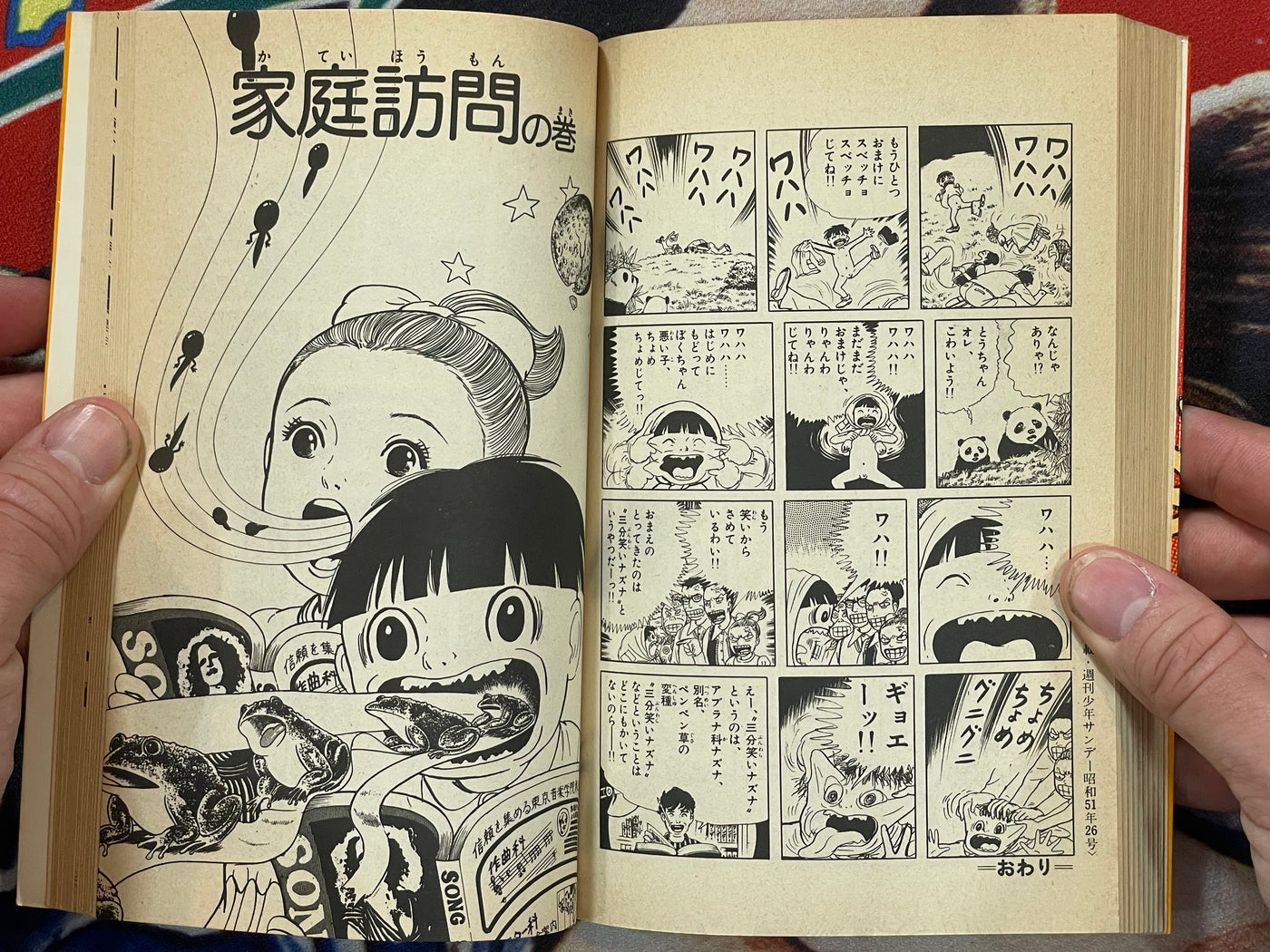 Shonen Sunday Comics: Makoto chan 1-24 Complete Set by Kazuo Umezu (1979/1981)