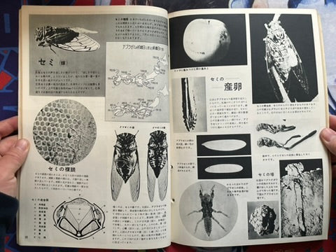 The Science Graph Vol. 6: Insect Special Edition (1962)