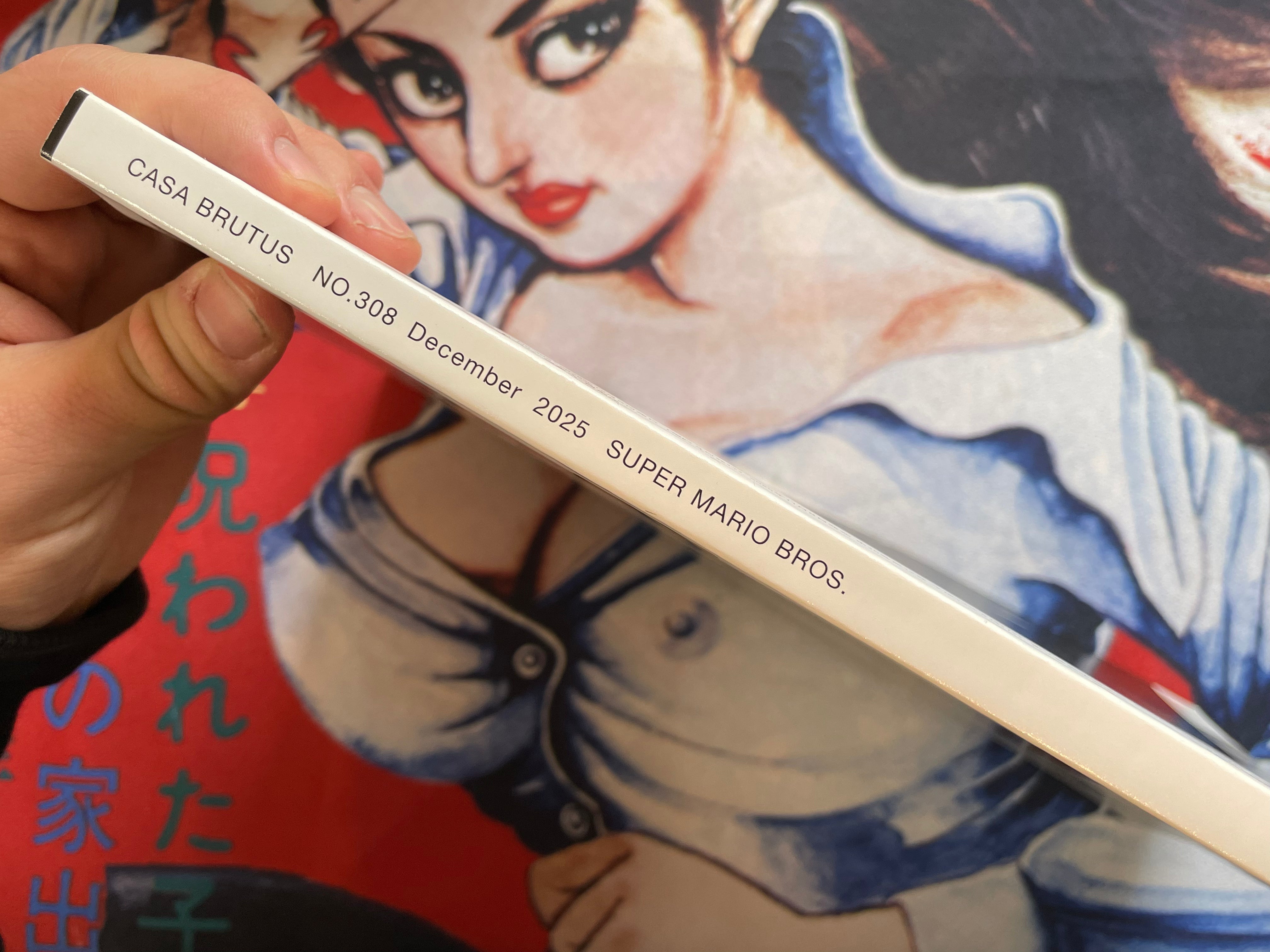 Casa Brutus Magazine No. 308 - Super Mario Bros (12/2025)