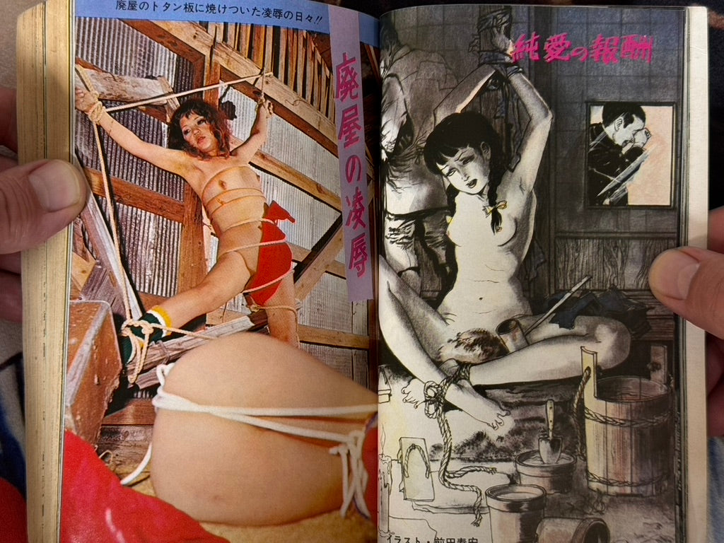 SM Fan Magazine (12/1972)