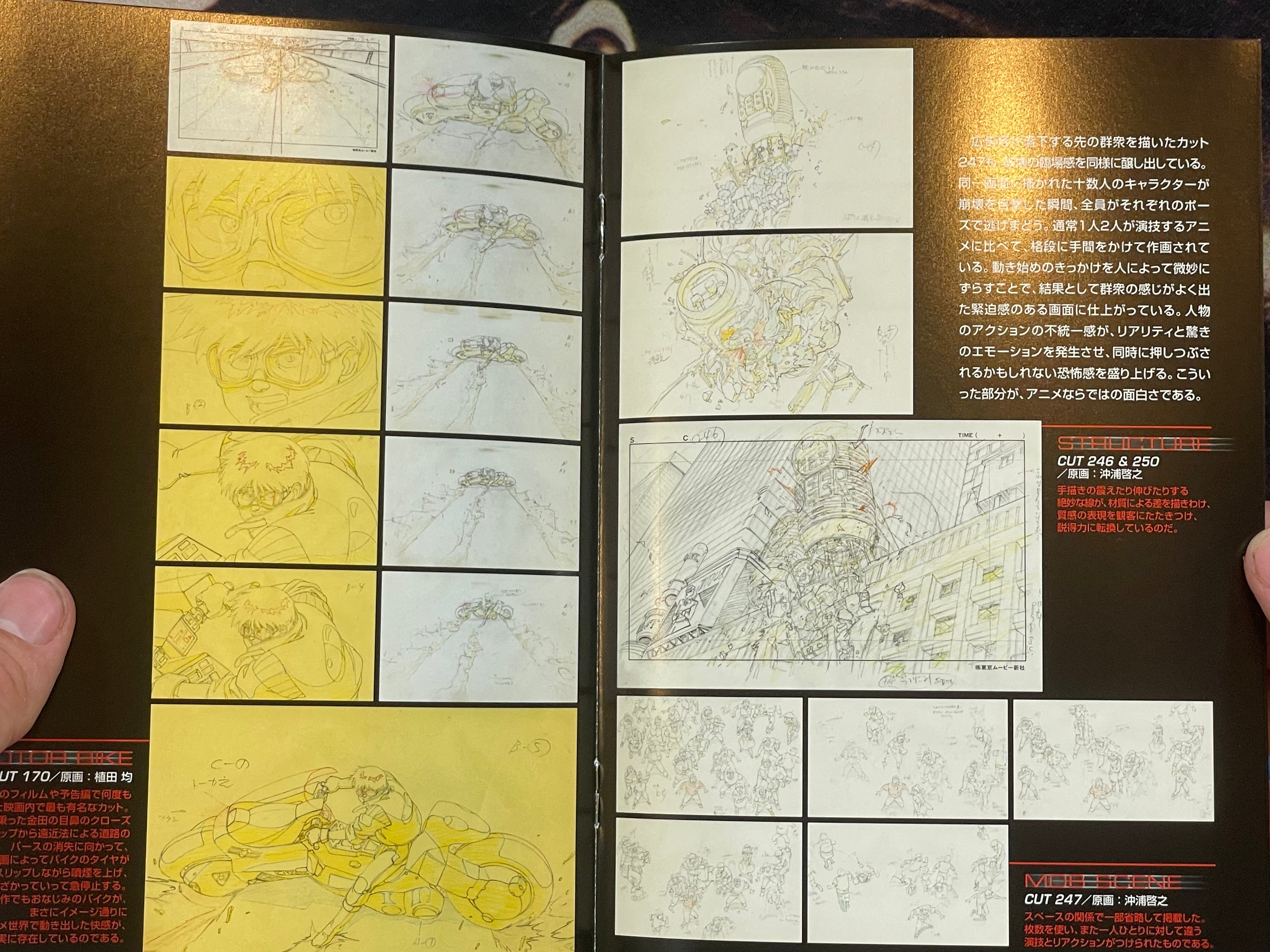 Akira DVD Special Edition by Katsuhiro Otomo (2001)