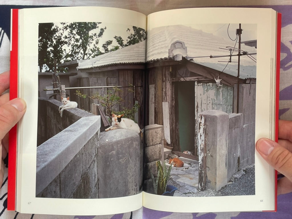 Okinawa Cats: Sentimental Journey (2006)