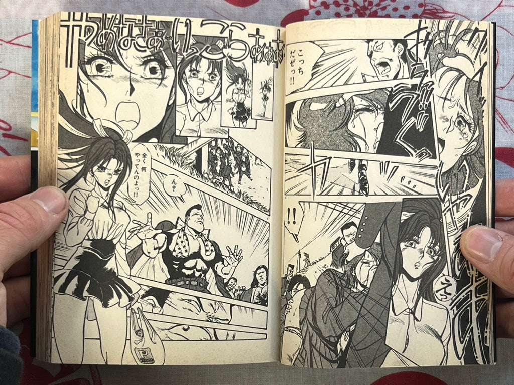 Teacher Otome's Private Instruction - bunko size by Denkosekka Go (1994)