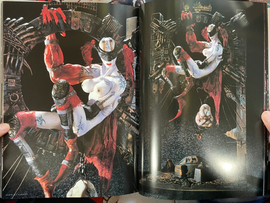 Nira Works by Yasushi Nirasawa (1998 First Edition)-thumbmail-14