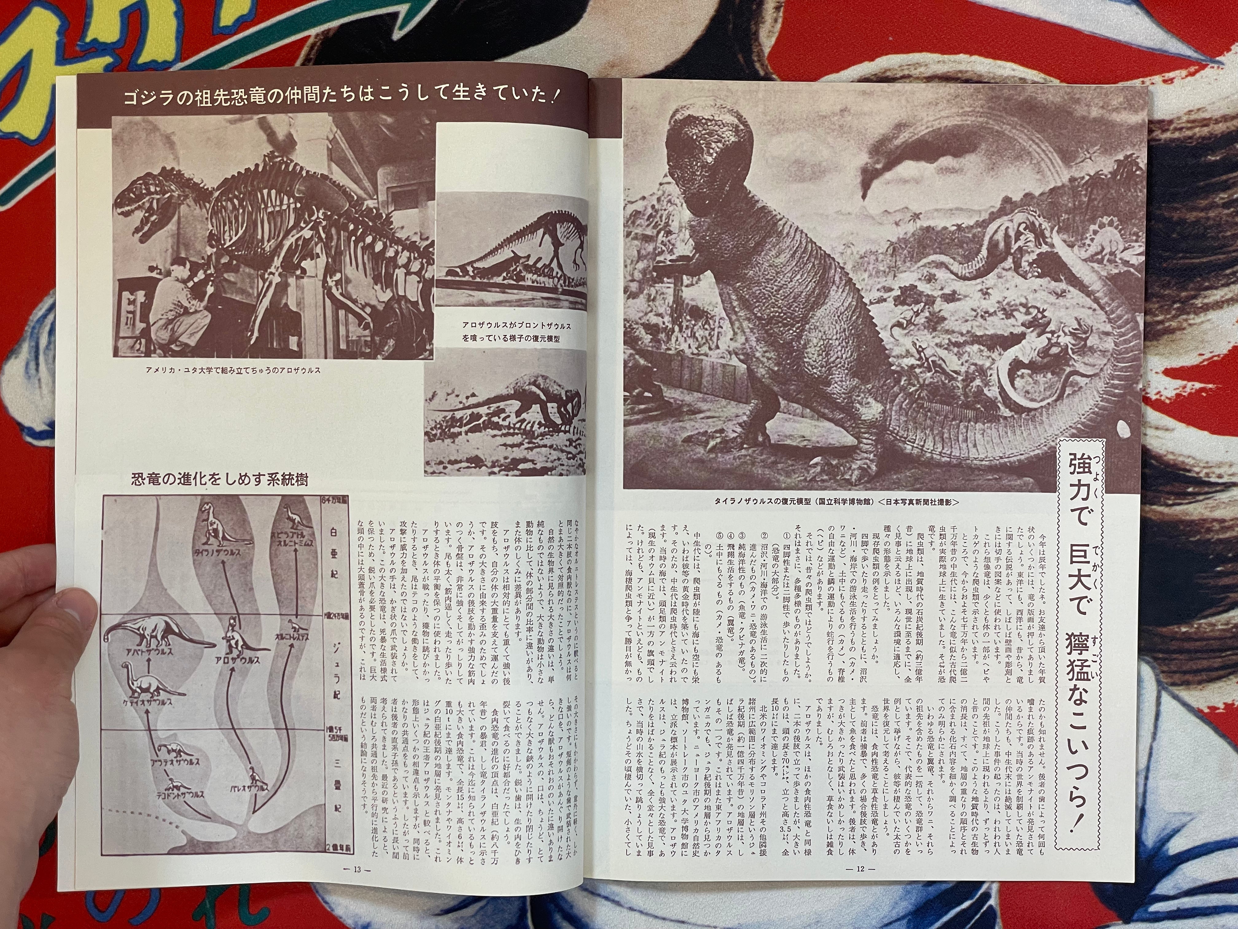 Mothra vs. Godzilla - Movie Promo Set by Toho Champion Festival-thumbmail-5