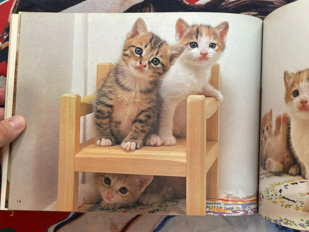 Cat Family by Honda Nobuo (1981)-thumbmail-8