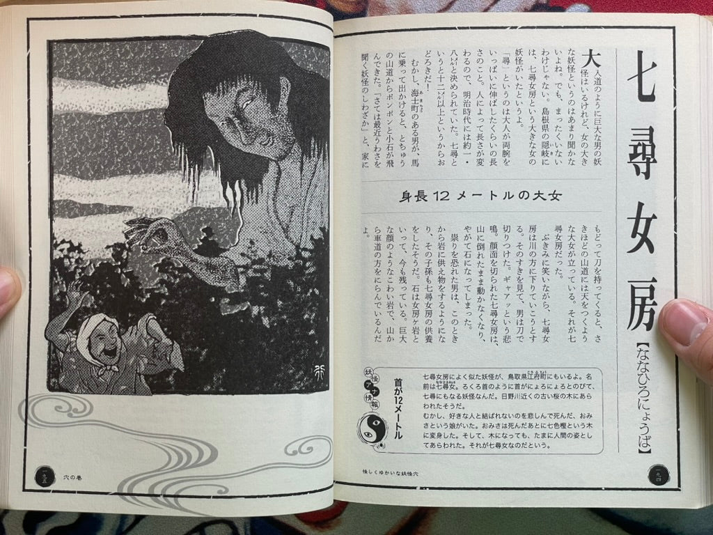 Yokai Hole by Kenji Murakami & Shinbun Udagawa & Yukio Amano (2011)