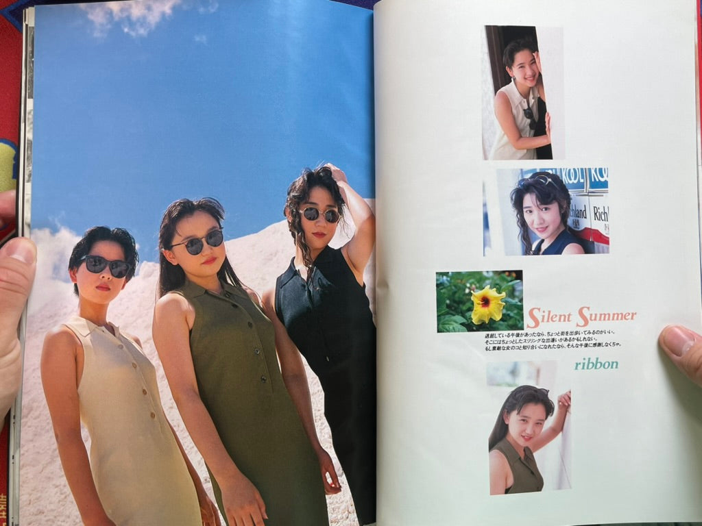 Up to Boy Magazine Extra Edition (8/1991)