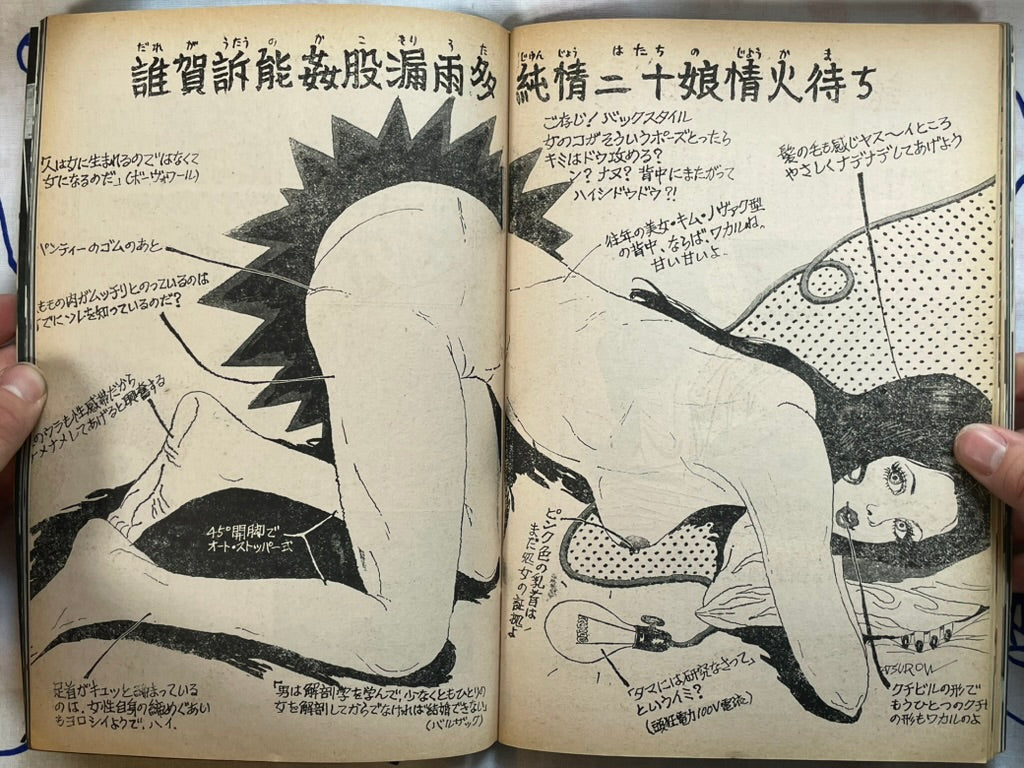 Bunny (2/1972)