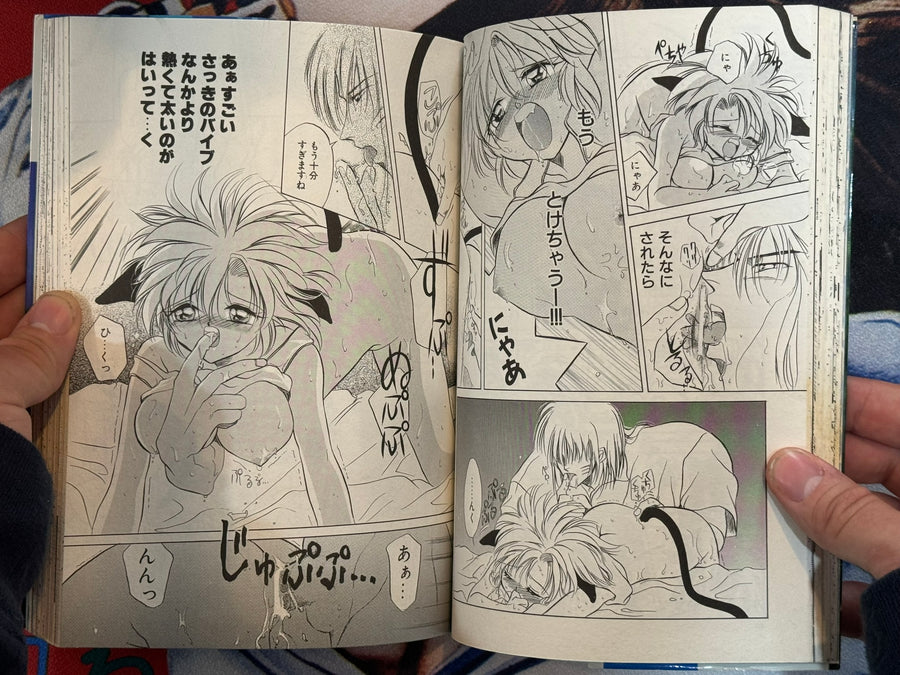 Water Fruit by Tokaido Mitchy (1996)