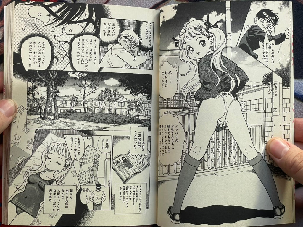 Antartica No.28 by U-jin (1994)