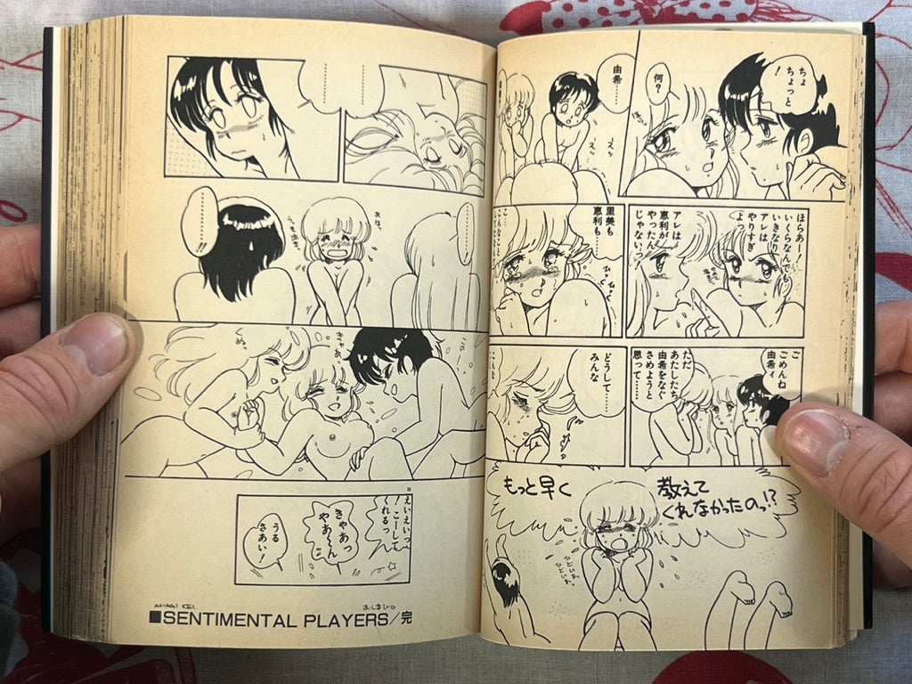 Minato-chan is 17! - bunko size by Amagi Kei (1991)