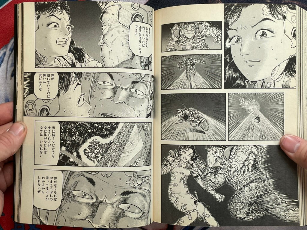 Denmu-Jiku by Takayama Kazumasa (1995)