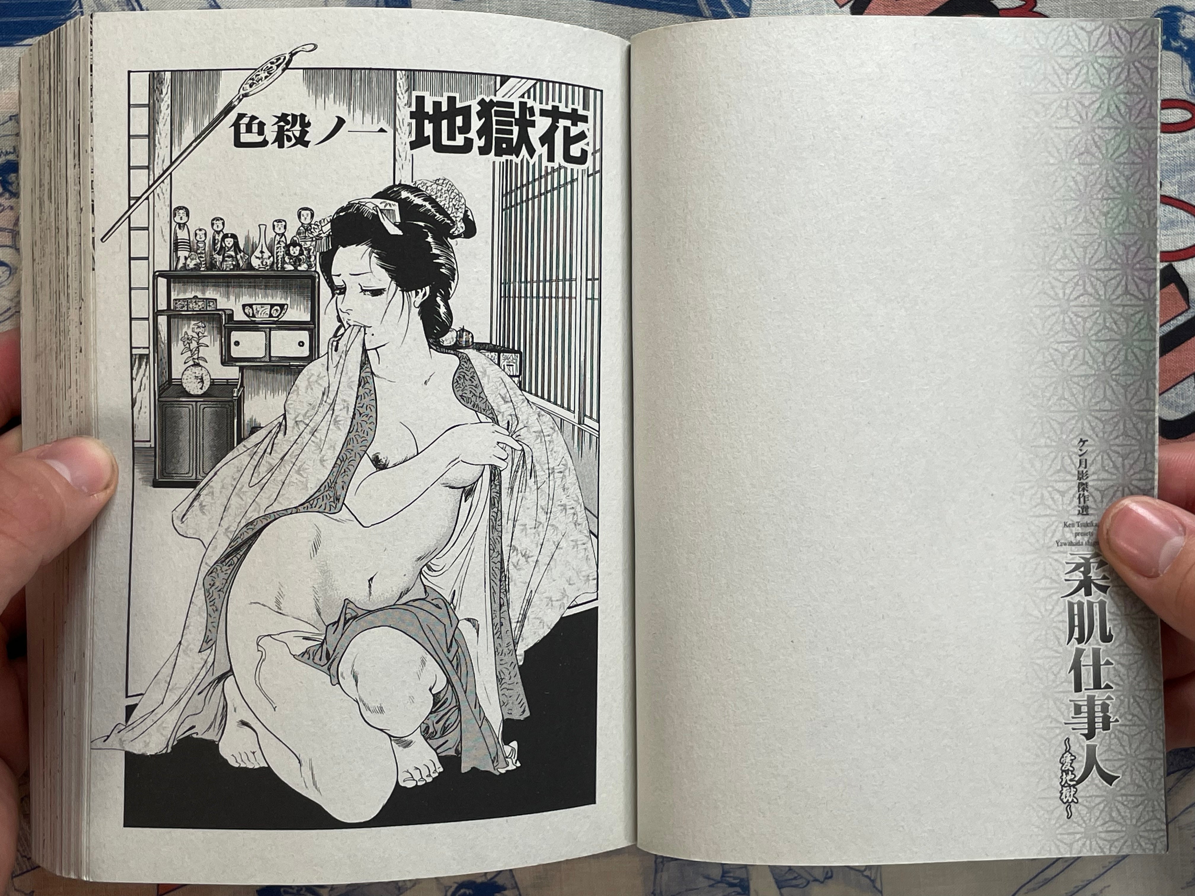Yawahada Shigotonin by Ken Tsukikage (2008)
