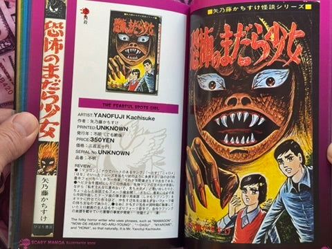 Japanese Scary Manga Illustrated (2002)