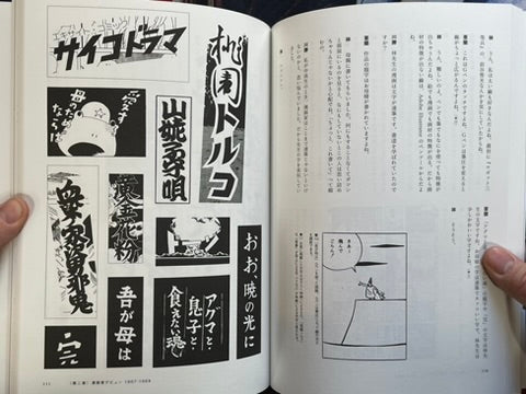 Hayashi Seiichi Manga Techniques by Aran Toochika, Kawakatsu Tokushige (2025)