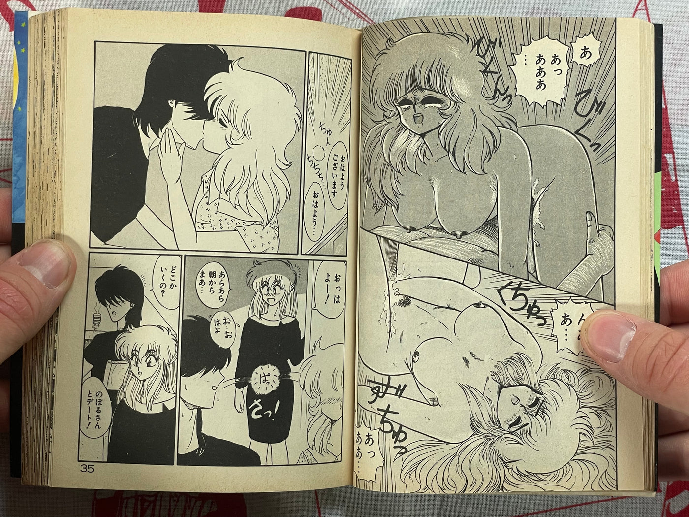 Big Panic Over That Girl! - bunko size by Kenzaki Mikuri et al (1991)