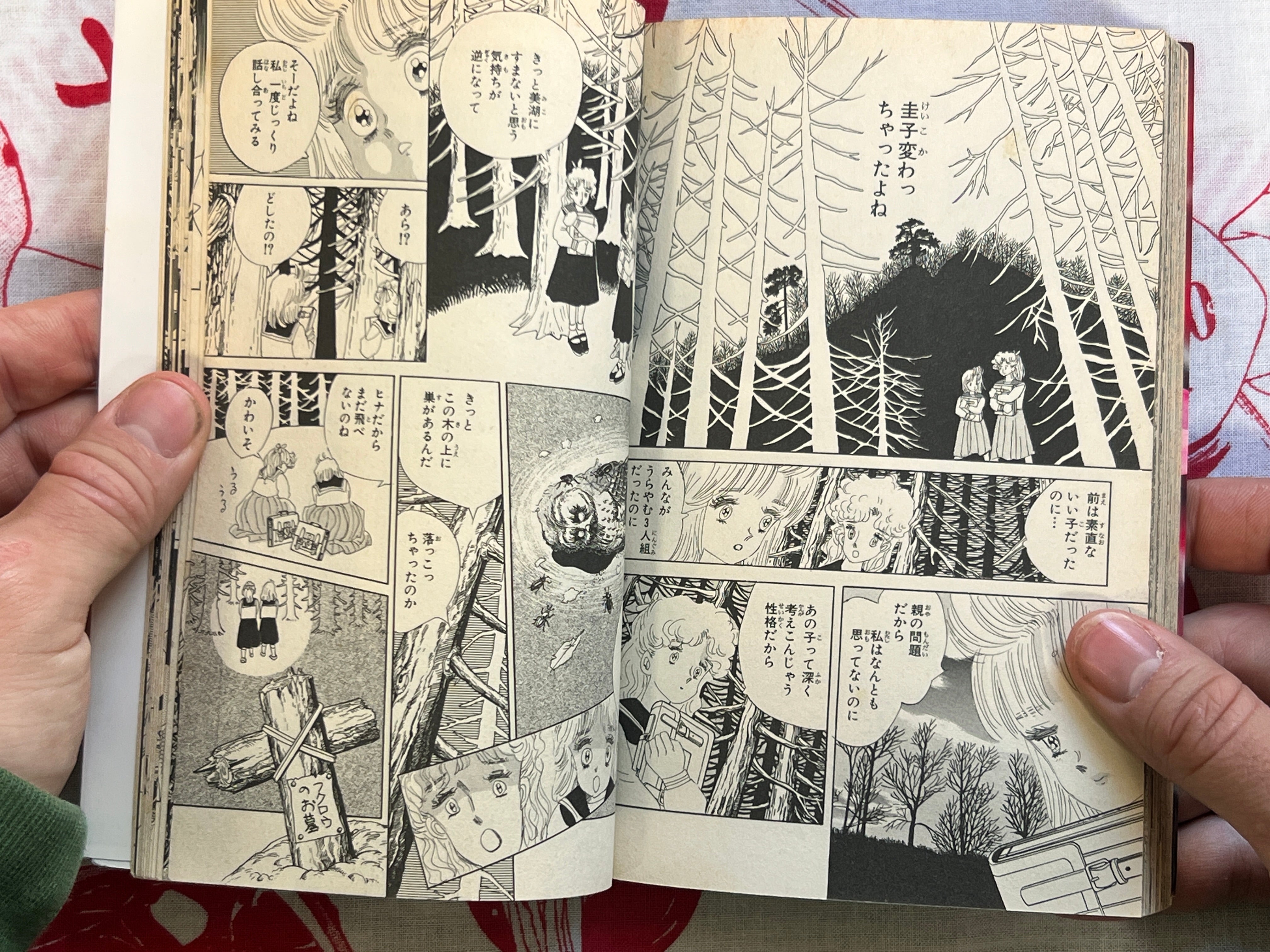 Scary Eyed Monster by Yumeji Tanima (1994)