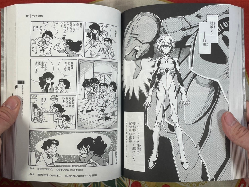 The Manga Age: Everything from Tezuka Osamu to Evangelion (1998)