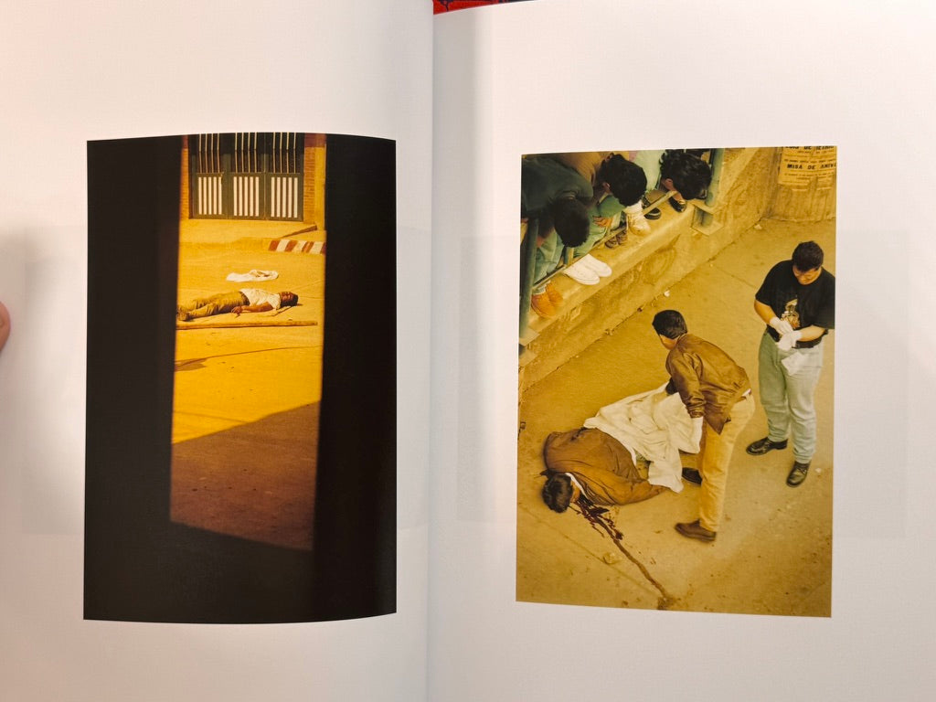 The Dead (2024) by Tsurisaki Kiyotaka