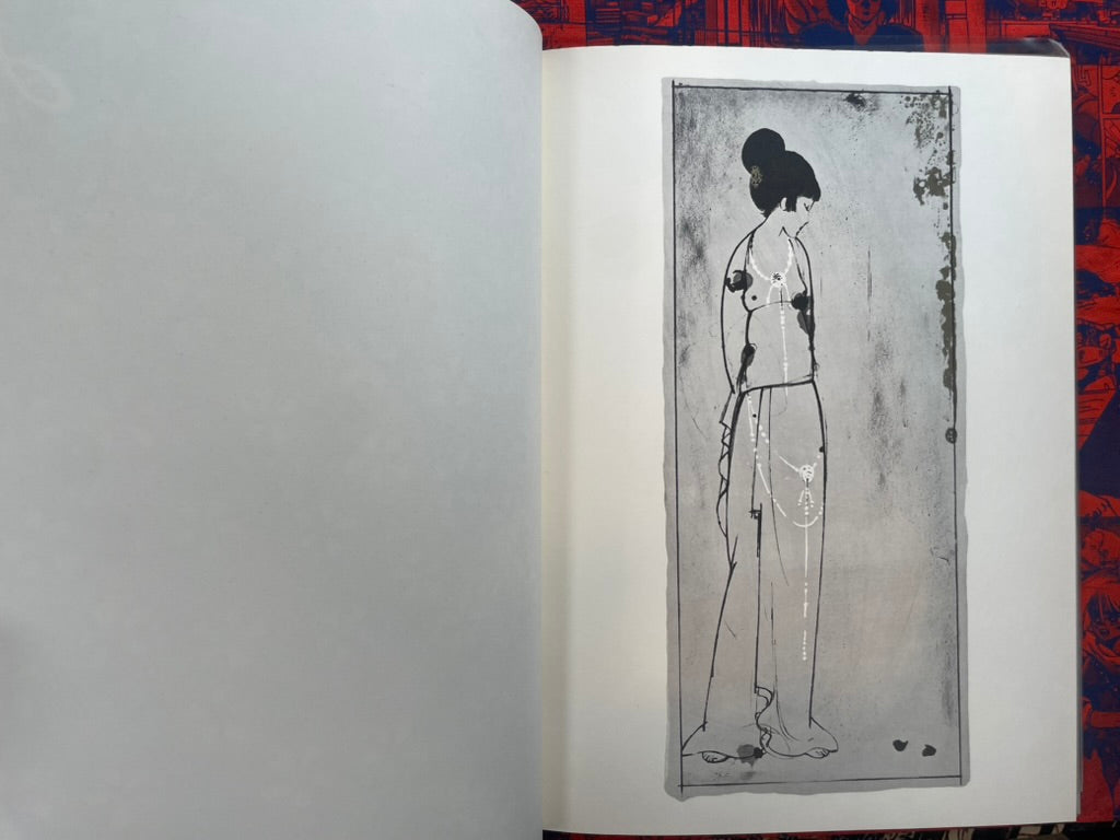 Minscape Beauty Illustrations - Oversized, Slipcover, Hardcover by Hayashi Seiichi (1976)