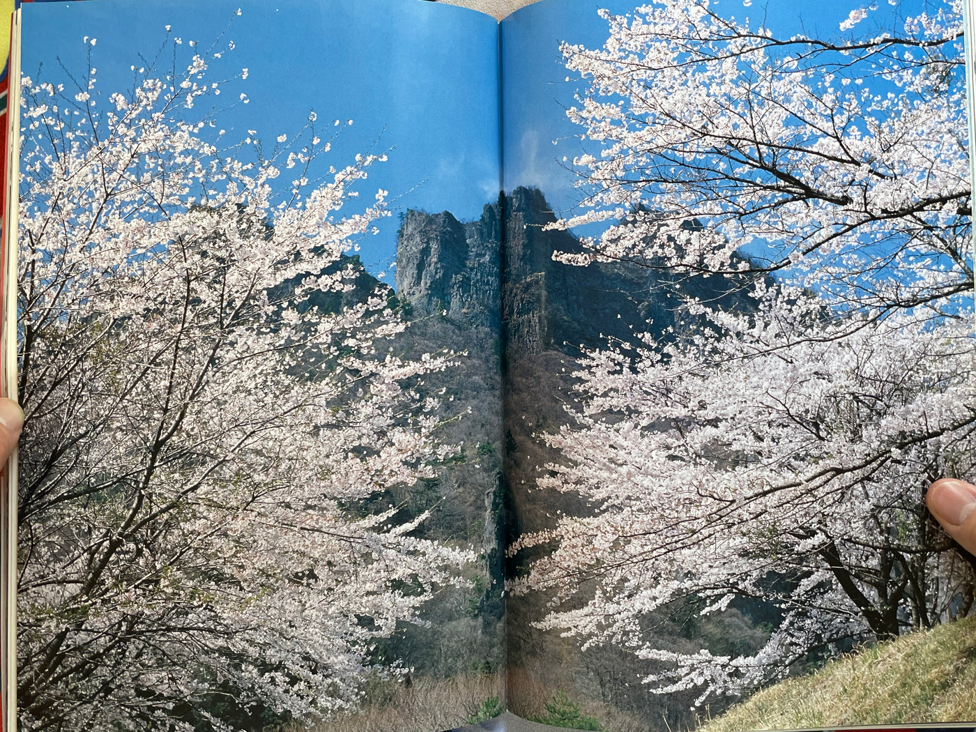 Okubo Mariko Mook Photo Collection (2007)