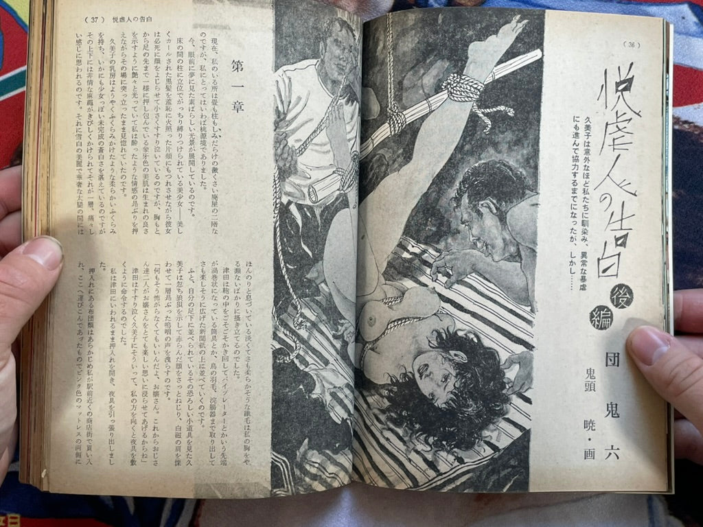 SM Collector (1974/8)
