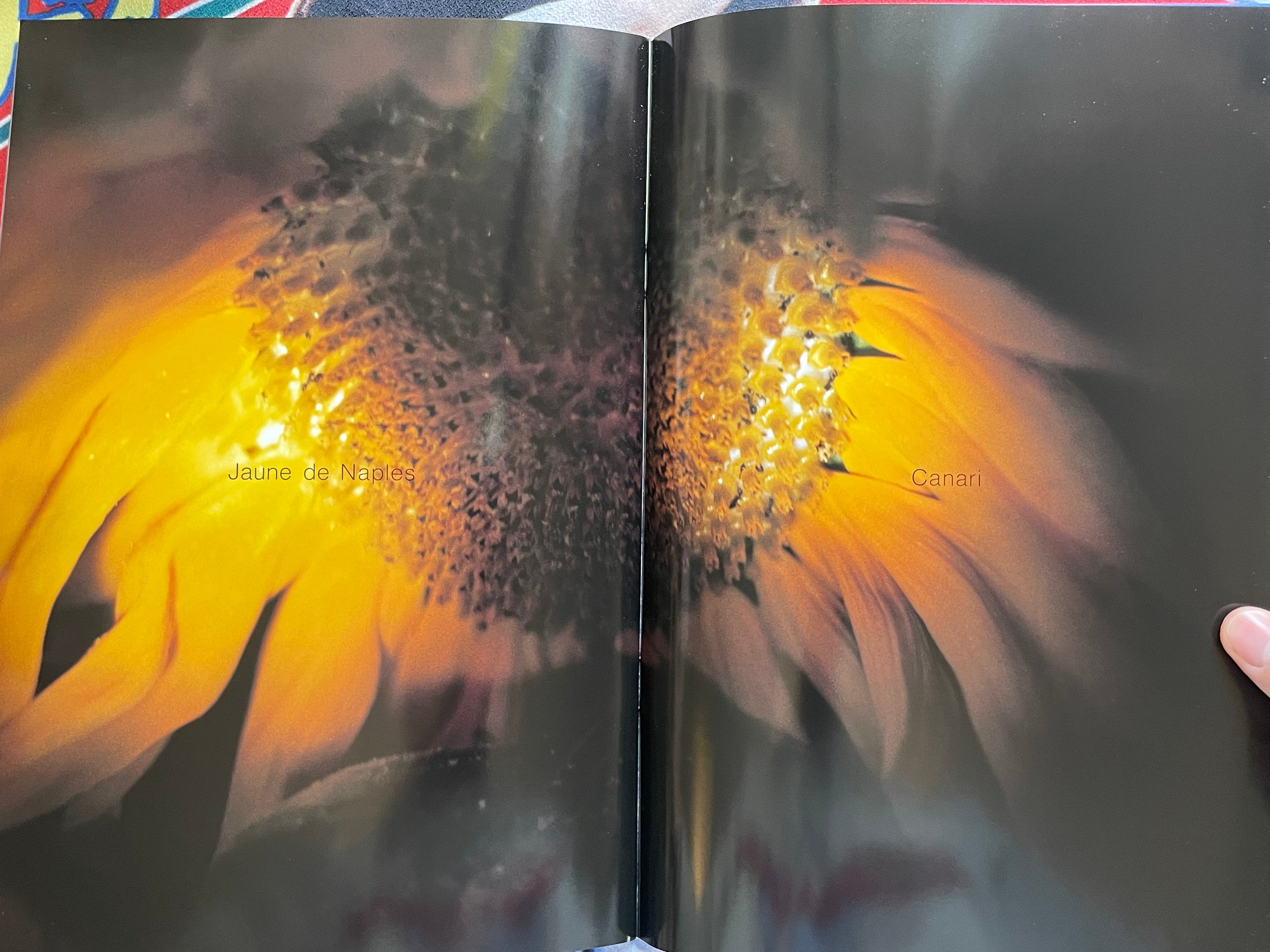 Aizawa Hitomi Mook Photo Collection (2007)