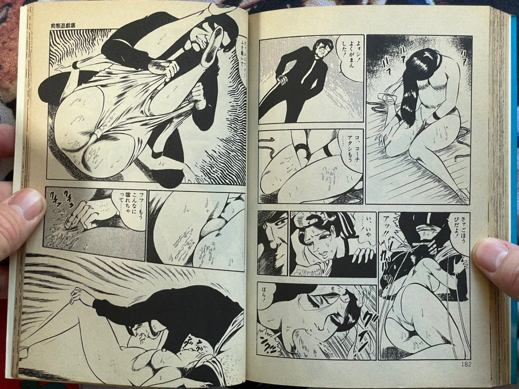 Beautiful Girl Playground by Dirty Matsumoto (1982)