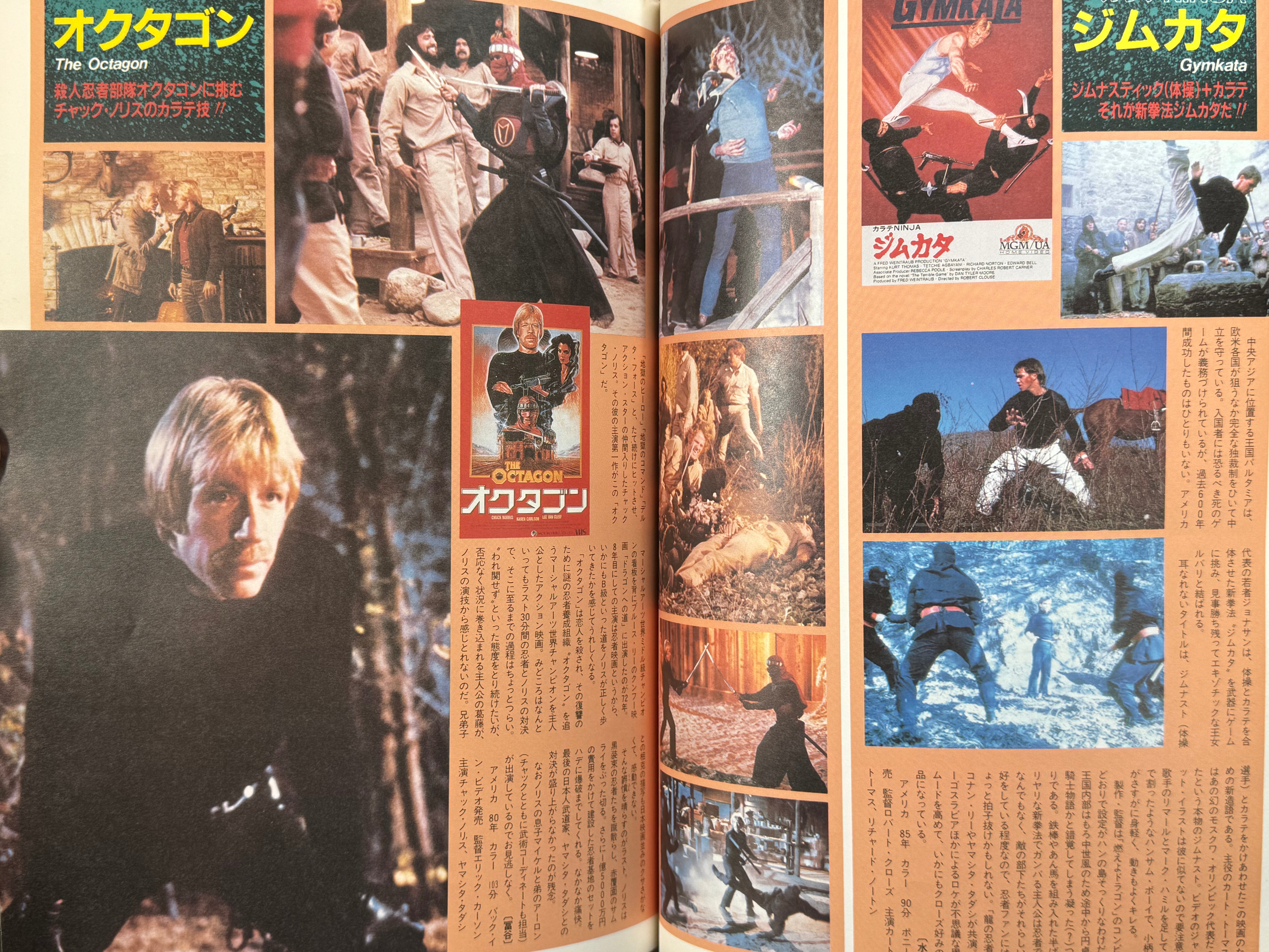 The Ninja Movies (1987)