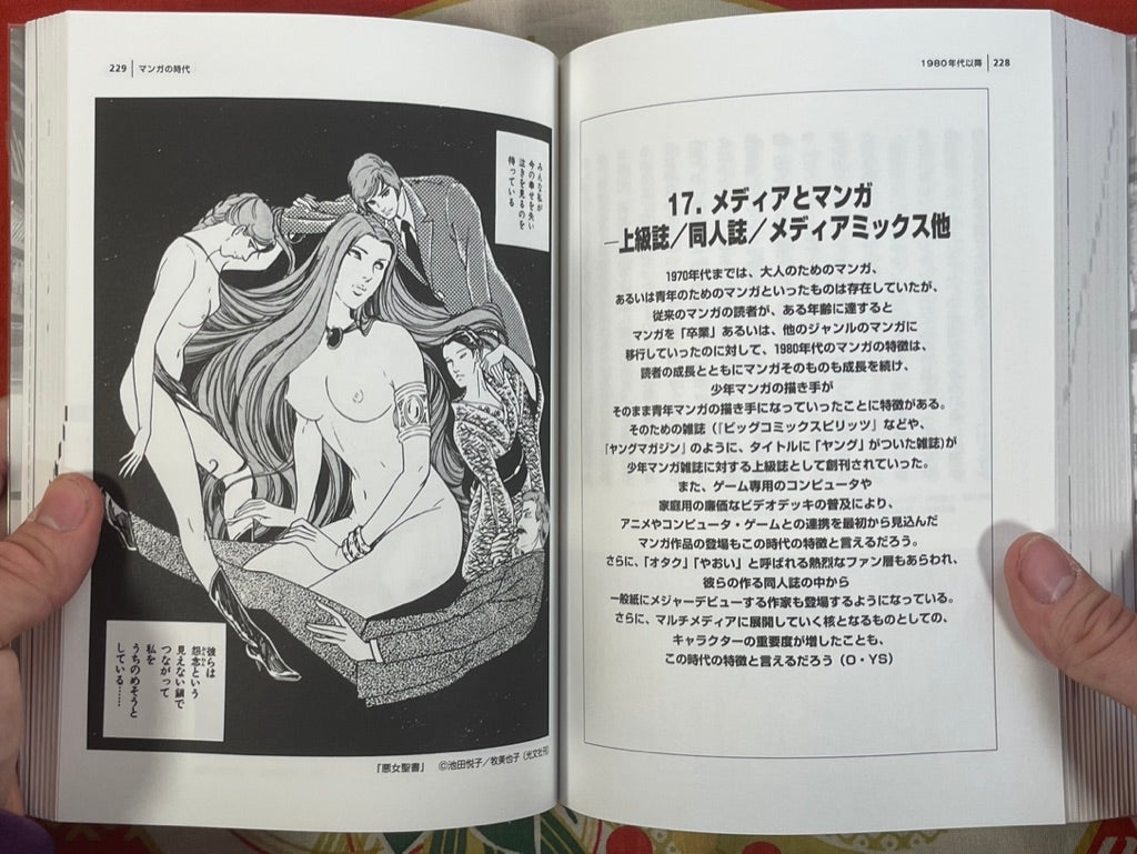 The Manga Age: Everything from Tezuka Osamu to Evangelion (1998)