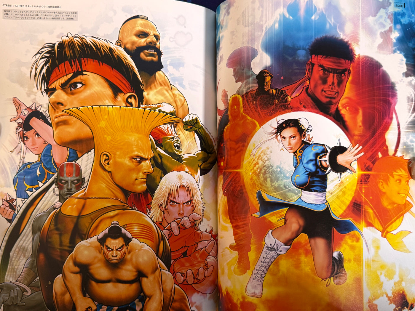 CAPCOM Street Fighters Art Works Supremacy (2009)
