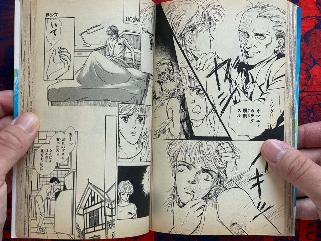 Evil Spirit World by Maiko Asano (1992)