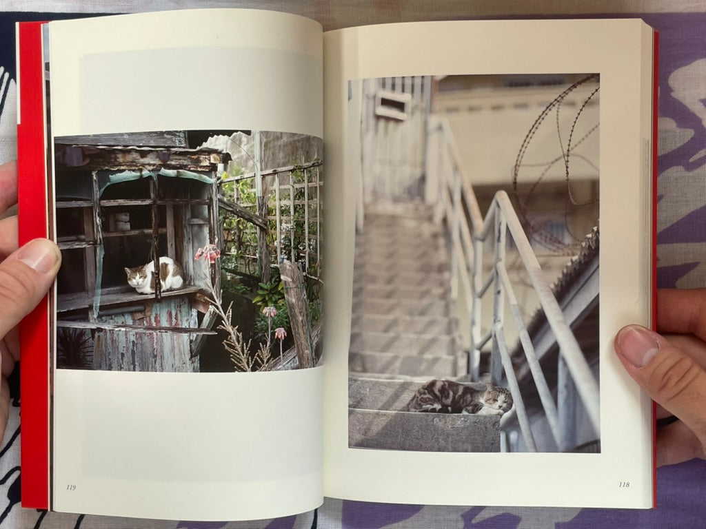 Okinawa Cats: Sentimental Journey (2006)