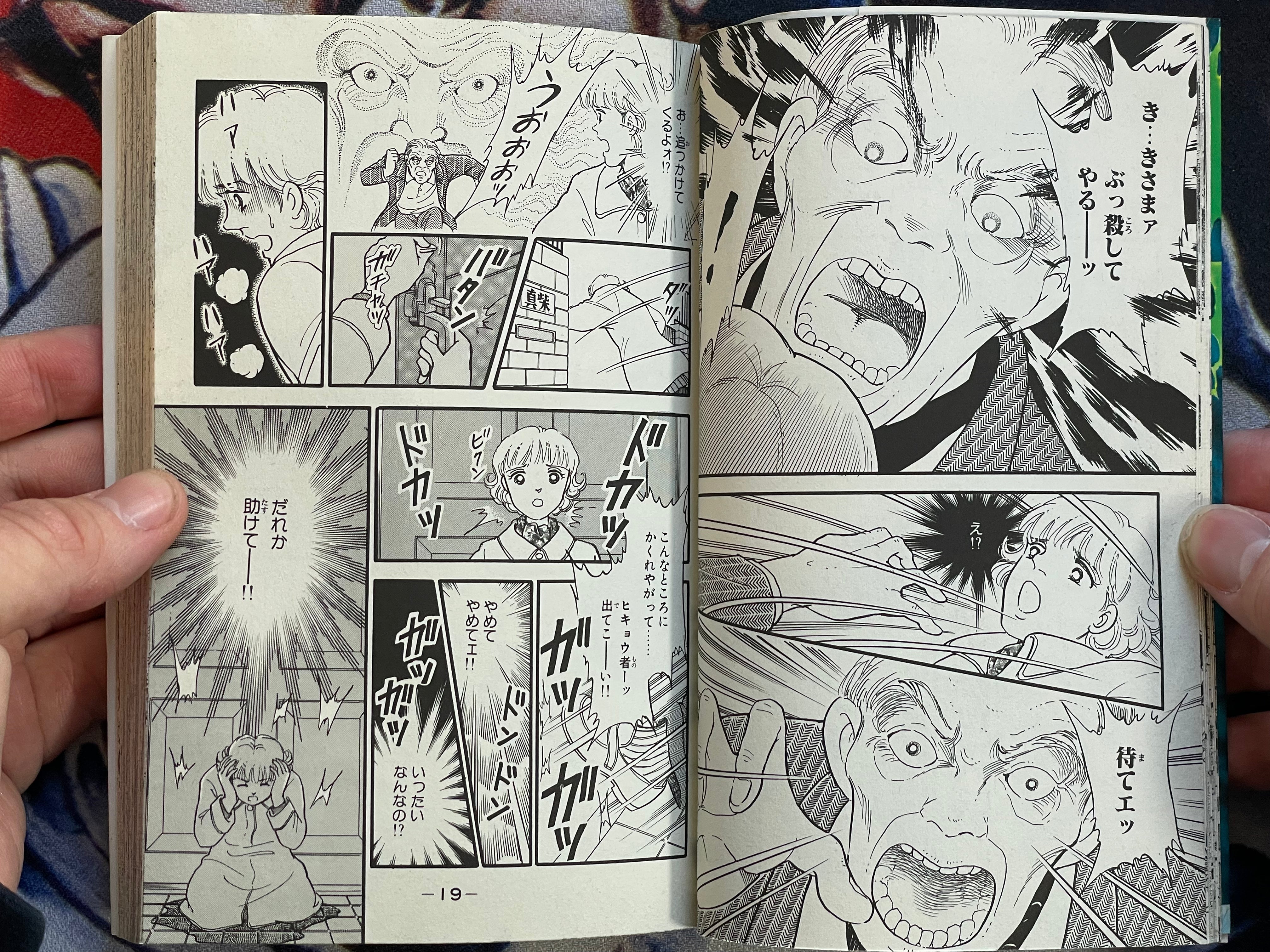 Mad House by Yoshimi Seki (1995)