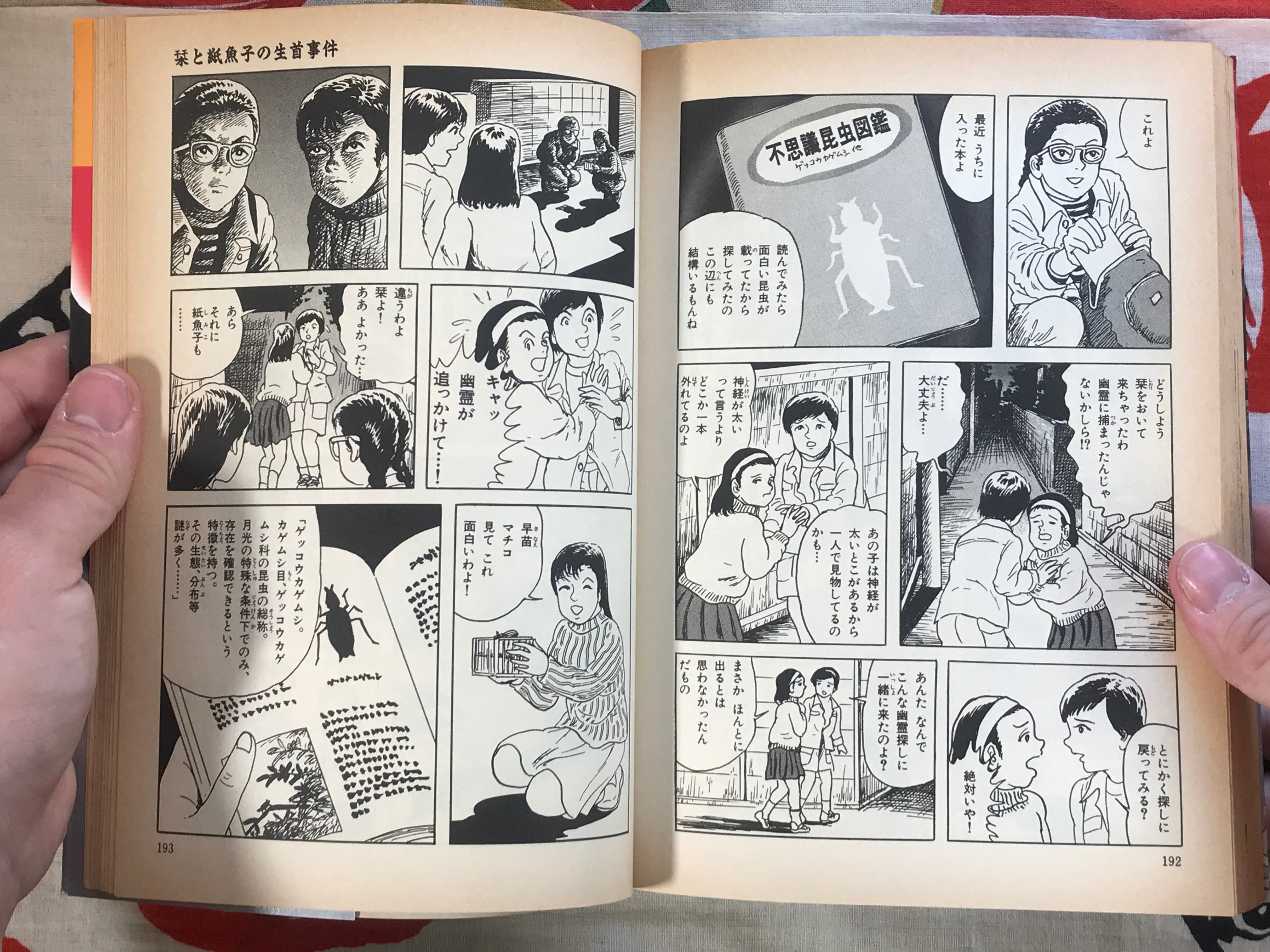The Beheading Incident of Shiori and Kamiko by Daijiro Morohoshi (1997)