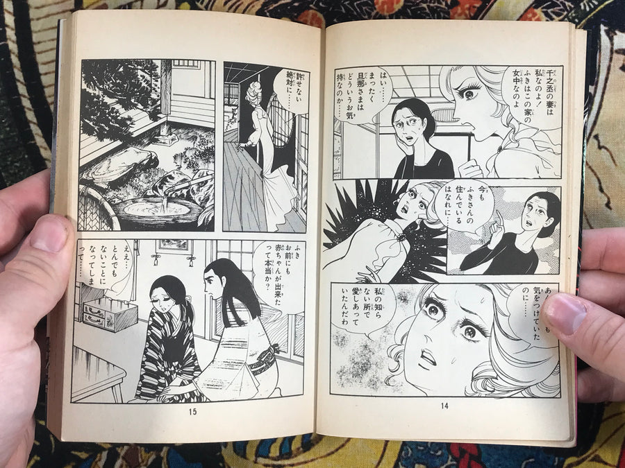 Sayaka and Waka: Cursed Night Demon by Yukiko Mori (1981)