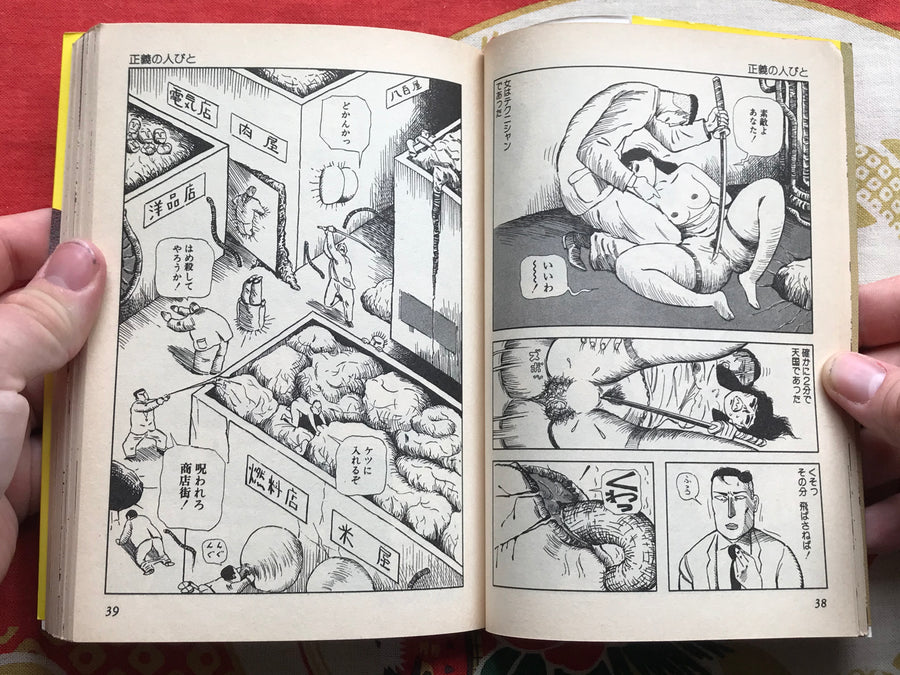 Brick Wall Beauty (1986) by Hiraguchi Hiromi
