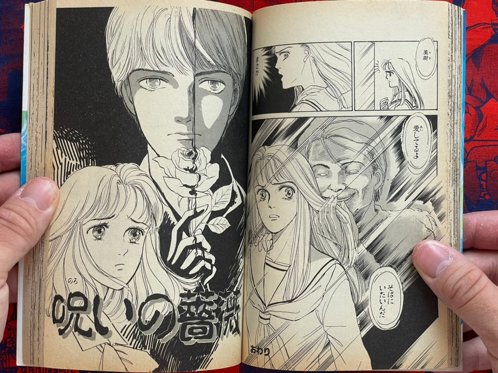 Evil Spirit World by Maiko Asano (1992)
