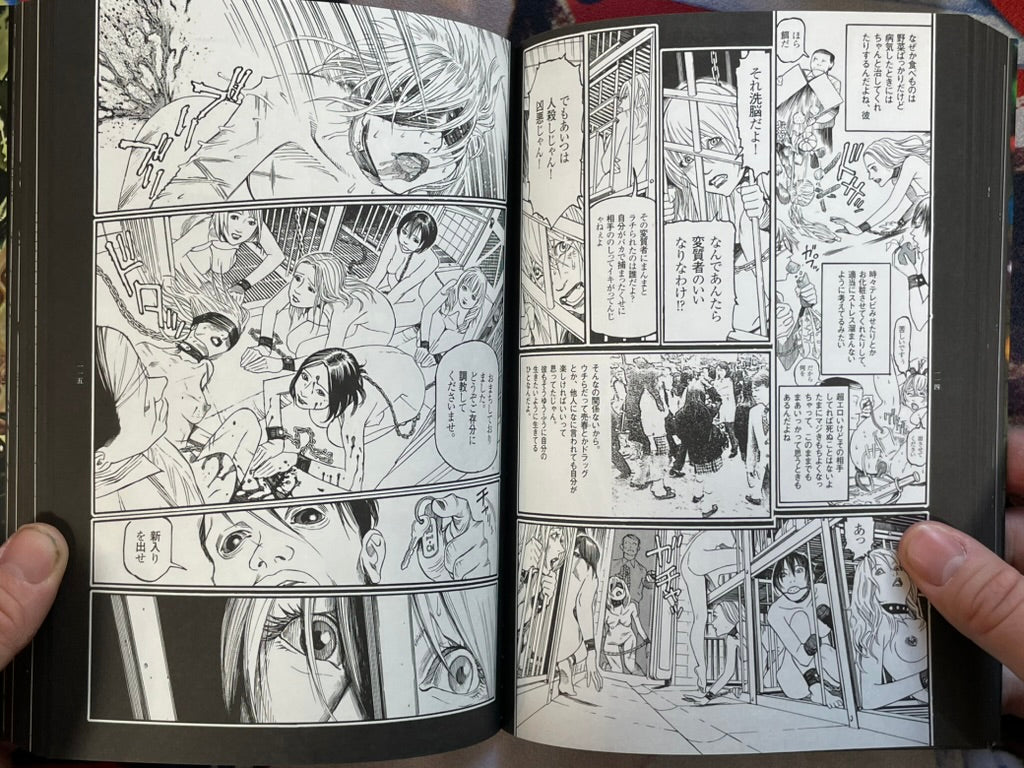 Detective Investigating a Bizarre Case: Marusai by Kotaro Okoshi (2007)