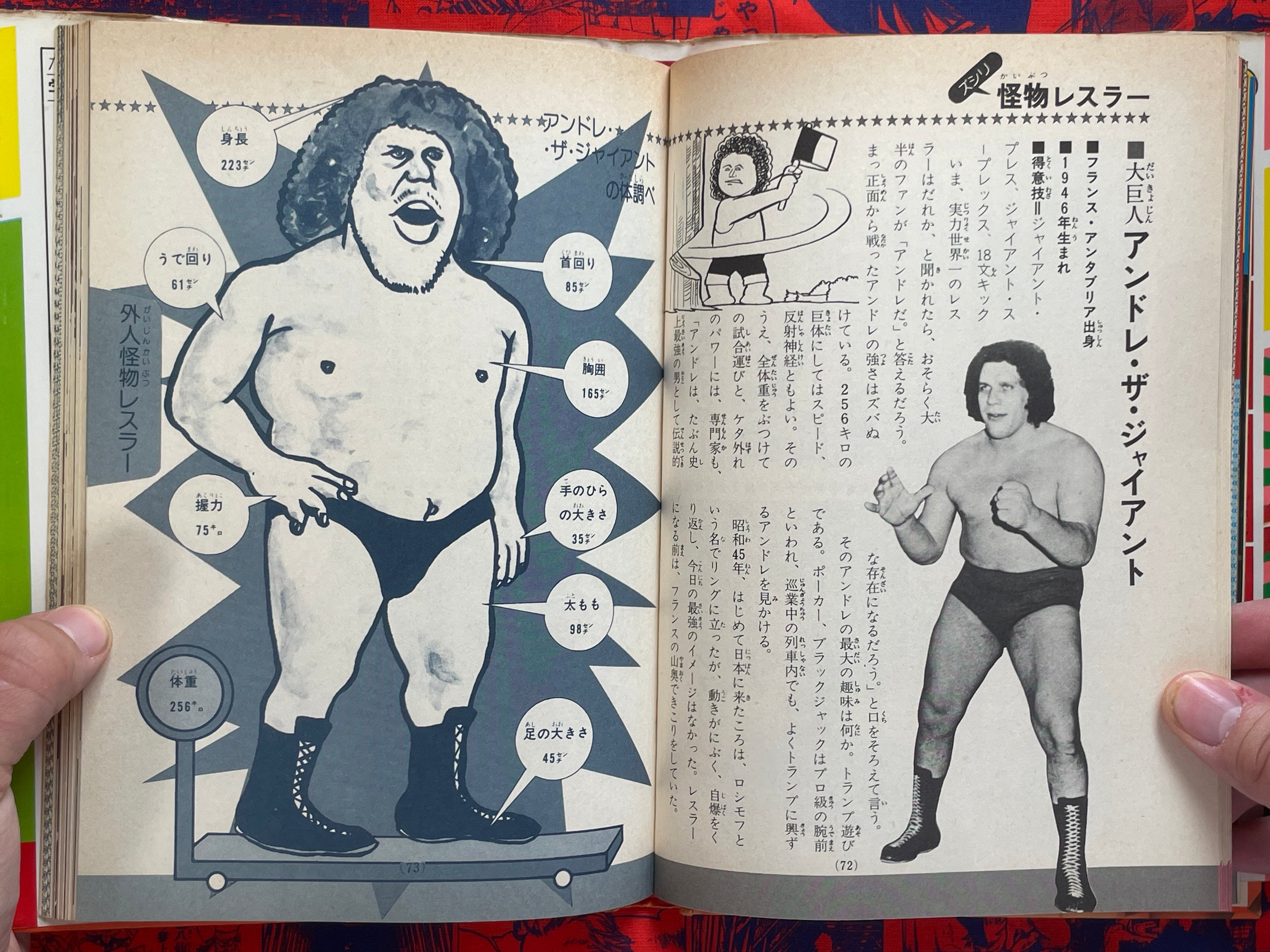 Pro Wrestling Surprise Encyclopedia - Hardcover by Big Wrestler (1982)