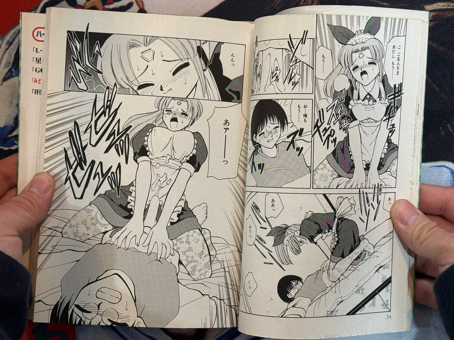 A Wonderful Loser by Mizuki Hitoshi (1999)