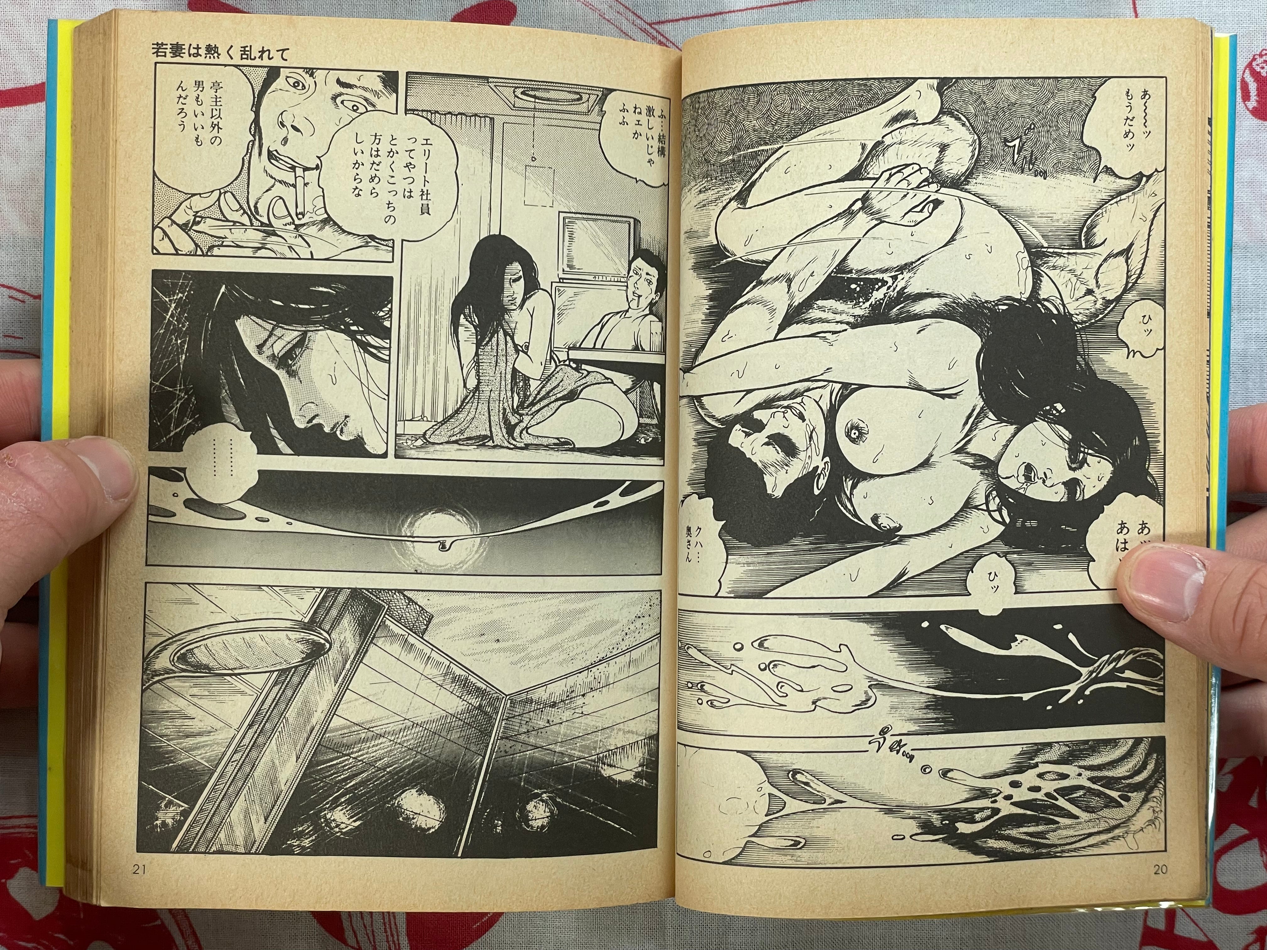 Wife's Secret by Tsutomi Sugiura (1988)