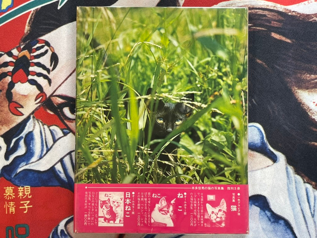 Carefree Japanese Cats - Hardcover by Honda Nobuo (1977)-thumbmail-3