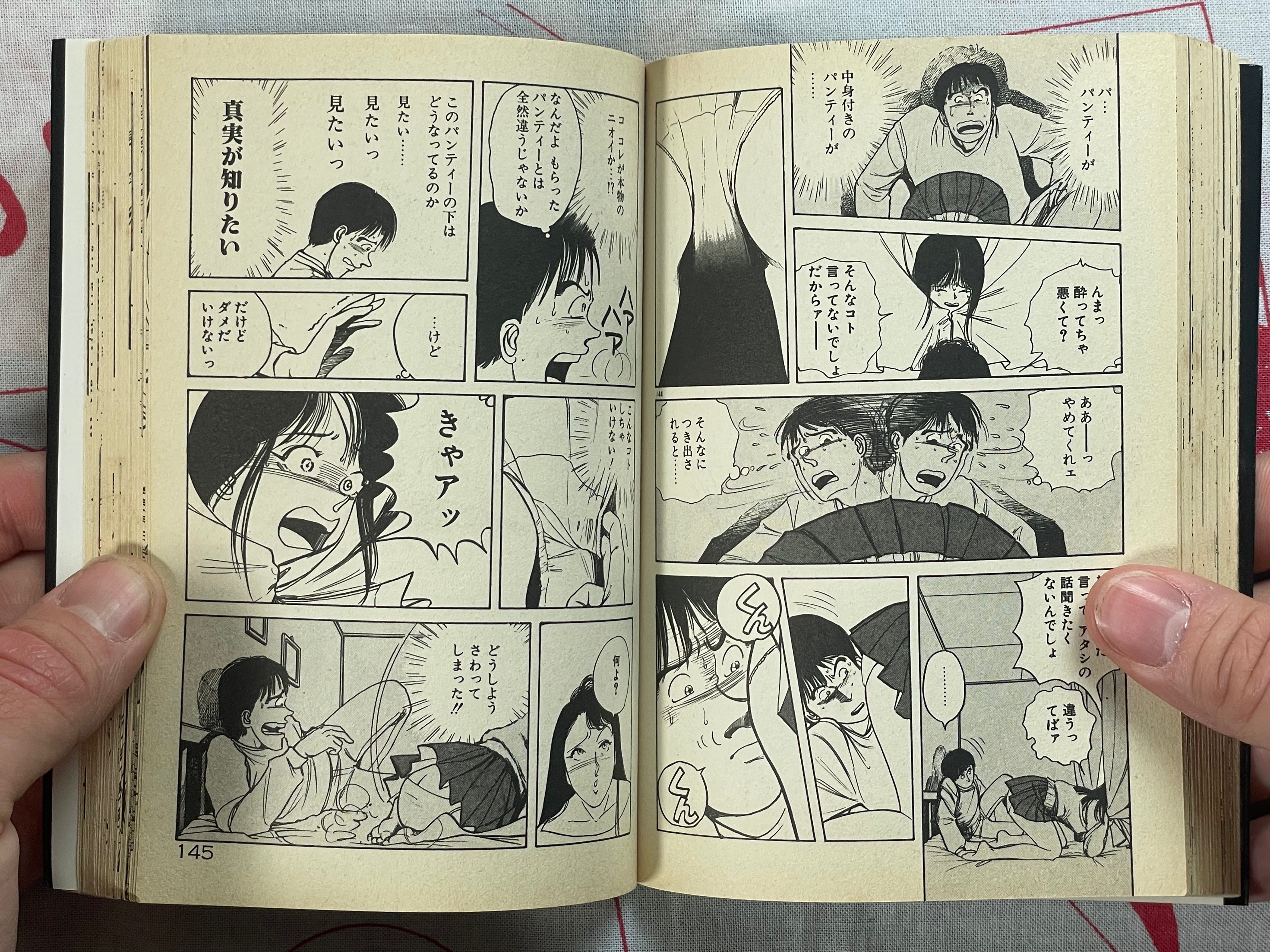 Heart Pounding Lesson - bunko size by Sakabe Noriko (1994)